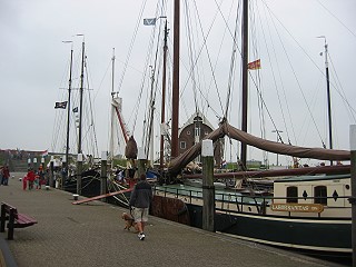 Schiffe im Hafen von Oudeschild